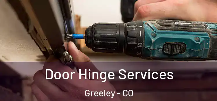 Door Hinge Services Greeley - CO