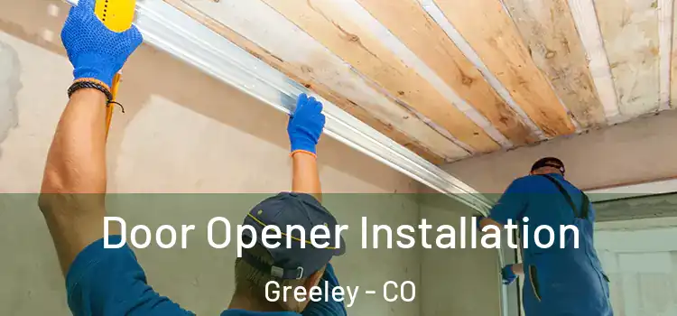 Door Opener Installation Greeley - CO