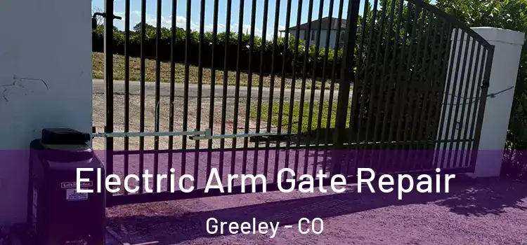 Electric Arm Gate Repair Greeley - CO