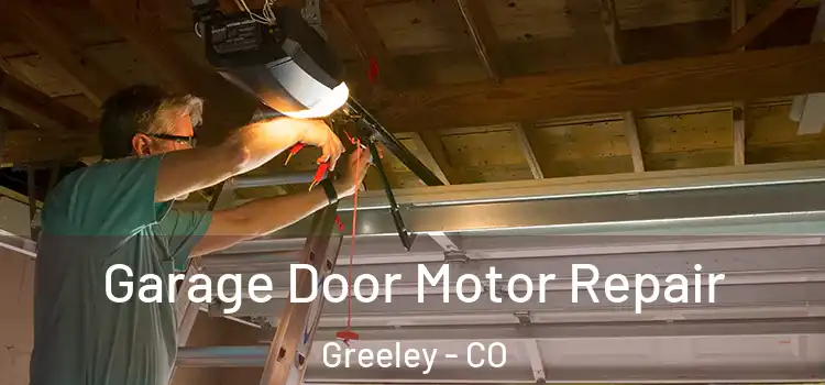  Garage Door Motor Repair Greeley - CO