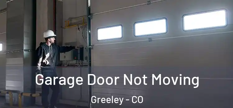  Garage Door Not Moving Greeley - CO