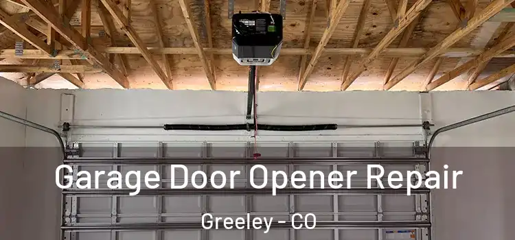  Garage Door Opener Repair Greeley - CO