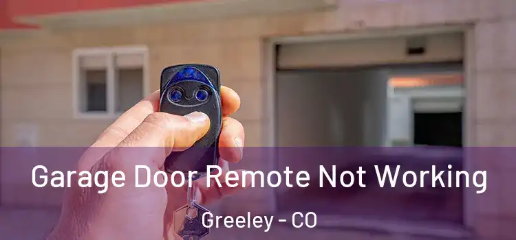  Garage Door Remote Not Working Greeley - CO
