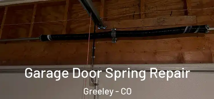  Garage Door Spring Repair Greeley - CO
