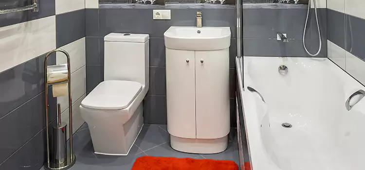 Hansgrohe Shaving Mirror Greeley