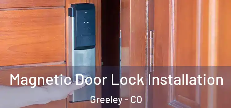  Magnetic Door Lock Installation Greeley - CO