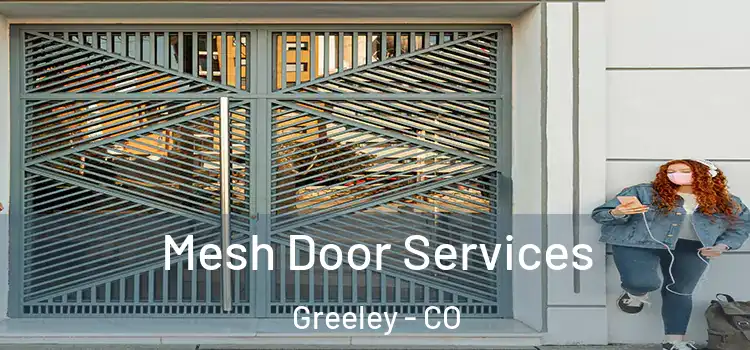 Mesh Door Services Greeley - CO