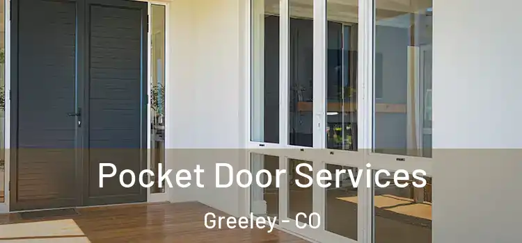 Pocket Door Services Greeley - CO